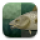 皮卡魚
